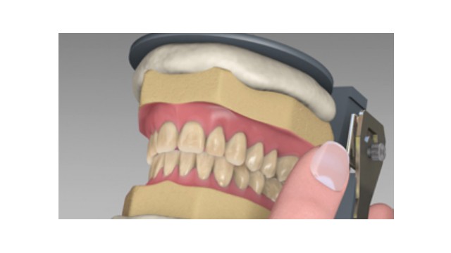 Denture Teeth