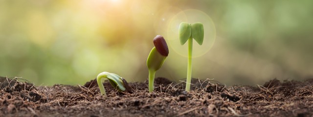 Let's grow together