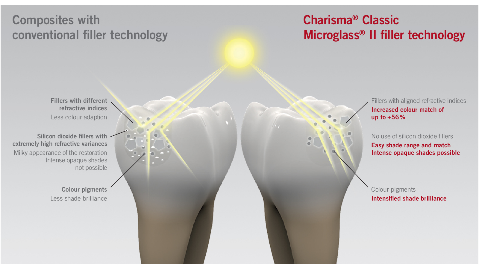 Free of BPA related monomers