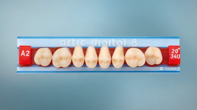 Mould Chart Artic Digital