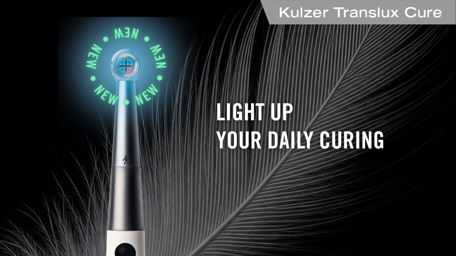 Kulzer Translux Cure